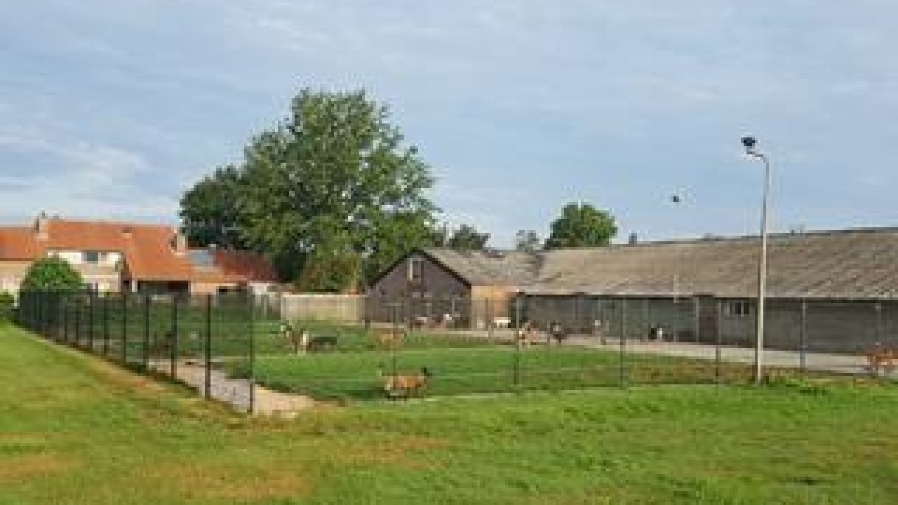 Dierenpension Ex-Kuus Casteren afbeelding 1